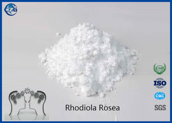 China Nootropics Raw Powder Rhodiola Rosea for Antioxidant cas:97404-52-9 supplier