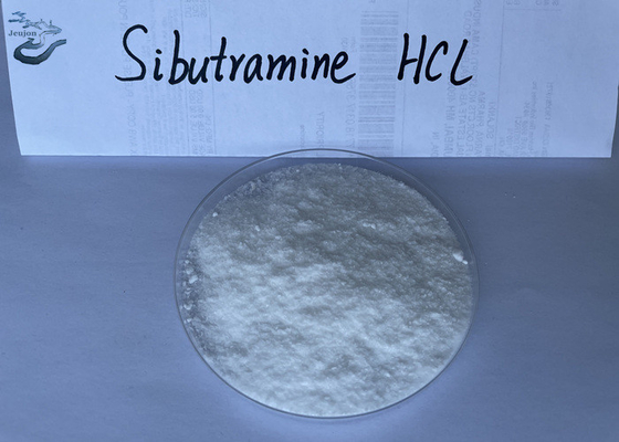 White Fat Burner Powder For Men Sibutramine Hydrochloride CAS 84485-00-7