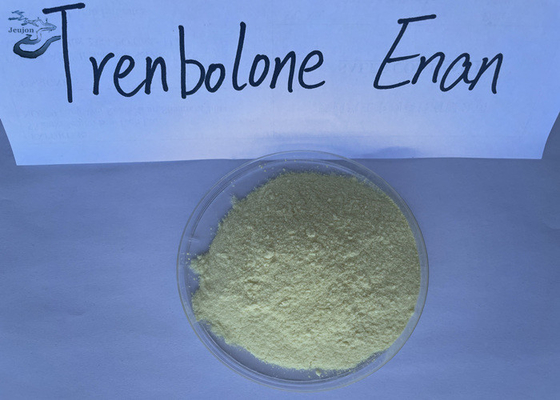 Trenbolone Enanthate Tren E Steroid CAS 1629618-98-9 Steroids For Muscle Gain