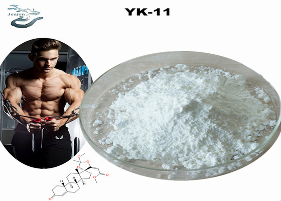 Purity 99% HPLC Sarms Powder CAS 1370003-76-1 YK 11  Muscle Growth Powder