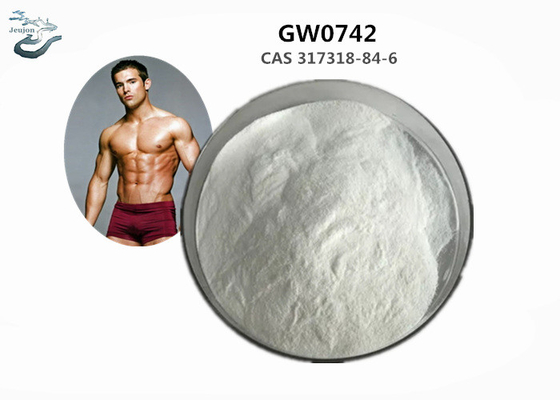 Top Quality Sarms Powder GW0742 CAS 317318-84-6 Sarms For Bodybuilding