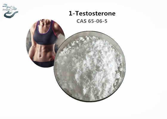 Purity 99% Raw Steroid Powder 1-Testosterone CAS 65-06-5 For Weight Loss