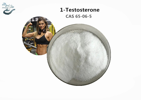 Muscle Growth Raw Steroid Powder 1-Testosterone CAS 65-06-5 With Competitive Price