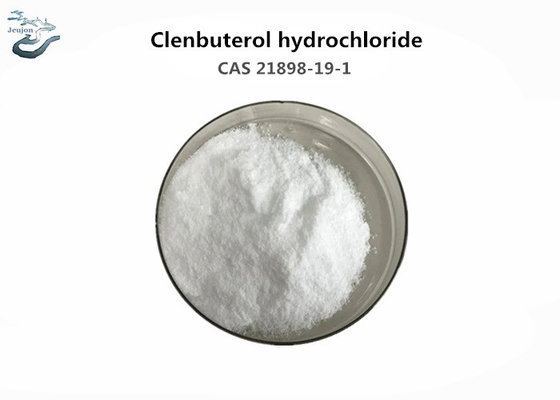 High Purity Raw Steroid Powder Clenbuterol Hydrochloride CAS 21898-19-1