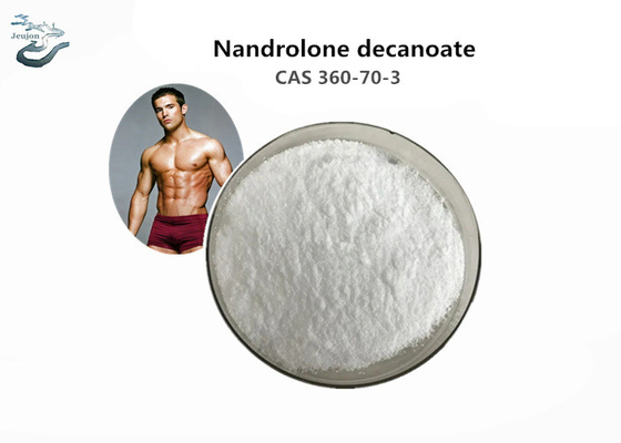 CAS 360-70-3 Raw Steroid Powder Nandrolone Decanoate Powder For Muscle Building