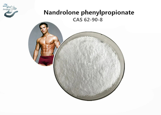 CAS 62-90-8 Raw Steroid Powder Nandrolone Phenylpropionate Durabolin For Muscle Building