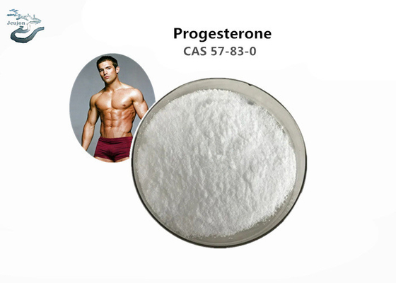 Medicine Grade Raw Steroid Powder Progesterone Powder CAS 57-83-0 In Stock