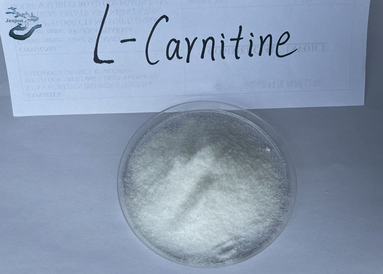 Cosmetics Raw Materials R L Carnitine Powder For Weight Loss CAS 541-15-1 Belly Fat Burner Powder