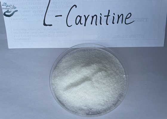 Cosmetics Raw Materials R L Carnitine Powder For Weight Loss CAS 541-15-1 Belly Fat Burner Powder