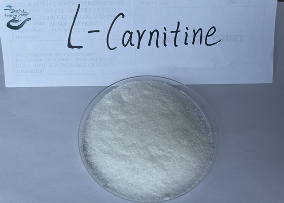 Pharmaceutical Raw Materials Weight Loss L-Carnitine Powder CAS 541-15-1