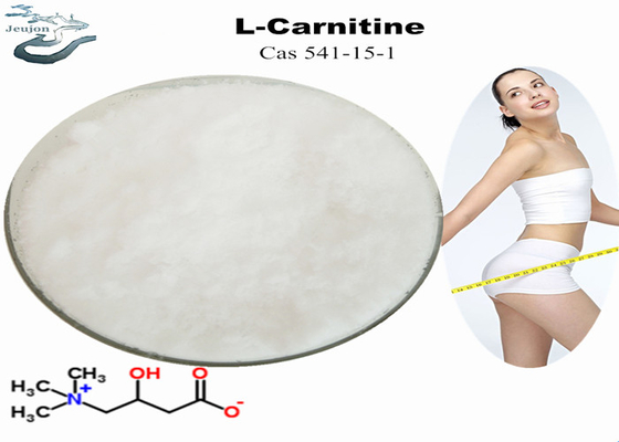 Pharmaceutical Raw Materials Weight Loss L-Carnitine Powder CAS 541-15-1