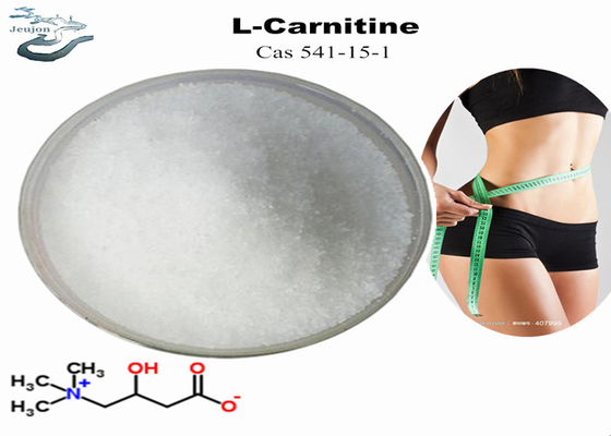 Cosmetics Raw Materials R L Carnitine Powder For Weight Loss CAS 541-15-1 Belly Fat Burner Powder