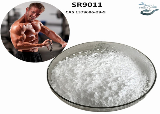 SR9011 Sarms Fat Burning Thermogenic Powder CAS 1379686-29-9 Bodybuilding Supplement